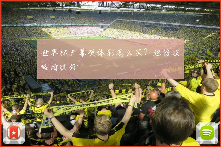 世界杯开幕夜体彩怎么买？这份攻略请收好