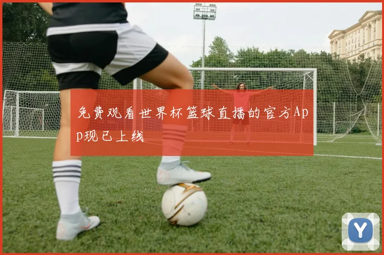 免费观看世界杯篮球直播的官方App现已上线
