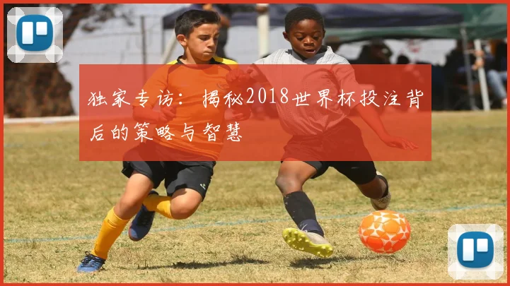独家专访：揭秘2018世界杯投注背后的策略与智慧