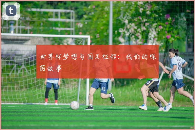 世界杯梦想与国足征程：我们的绿茵故事